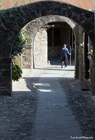 Elderly Walker, Potes