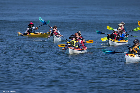 MV Kayaking 28Sep 15 (Terry Scussel) copy