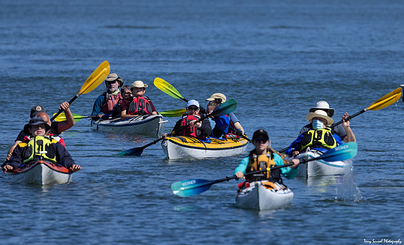 MV Kayaking 28Sep 16 (Terry Scussel) copy