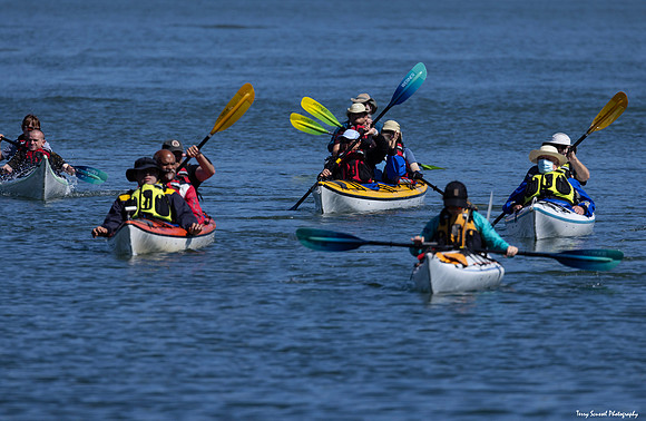 MV Kayaking 28Sep 18 (Terry Scussel) copy