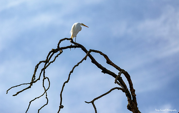 Woodbridge Ecological Reserve 28