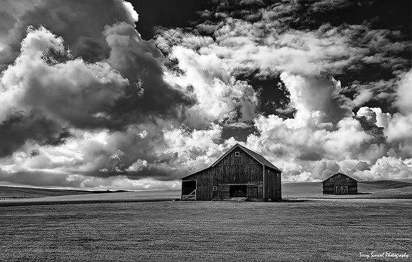 2 Barns - B&W
