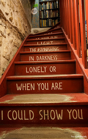 Staircase at Shakespeare and Company