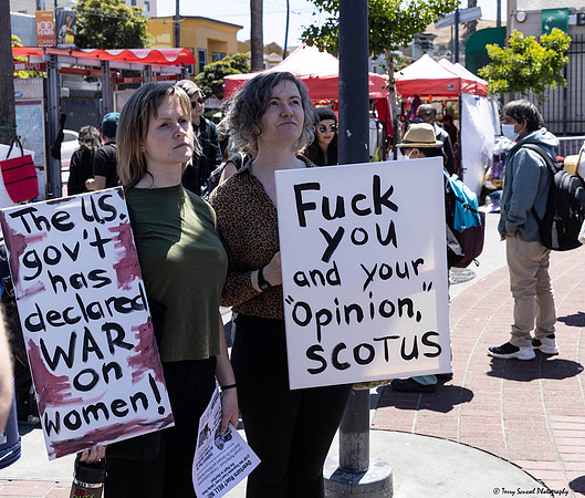 Rise_Up_for_Abortion_Rights 12 (Terry Scussel) copy