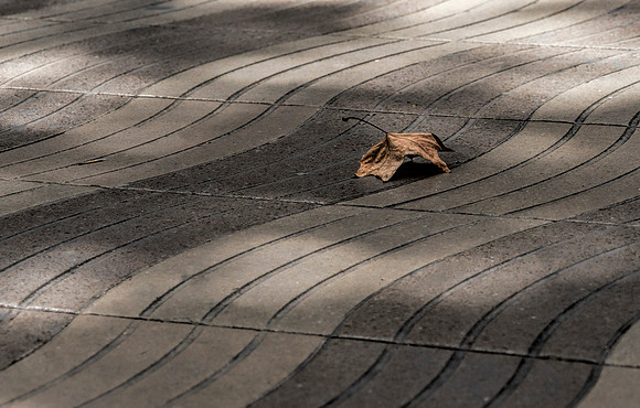 Illusion, Las Ramblas - Barcelona