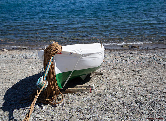 Green & White Fishing Boat 4