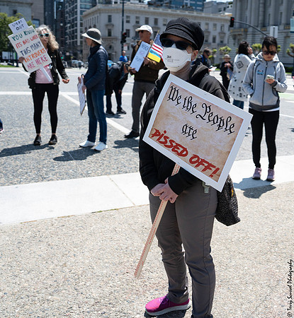 Trump Must Go Now 3 (Terry Scussel)