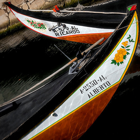 Aveiro Moliceiro Crossing - Lorenzo