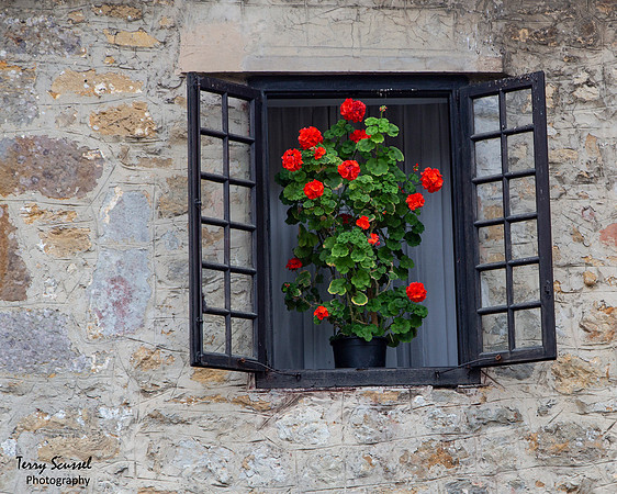 Window 1 - Santillana del Mar, Cantabria, Spain copy