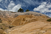 Wild Sky 4
