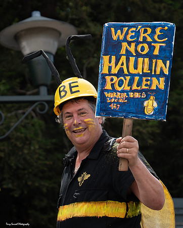 Fairfax Parade & Festival 2024 - 74 (Terry Scussel)