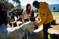Marin Ventures @ Slide Ranch 5 (Terry Scussel)