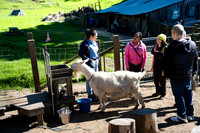 Marin Ventures @ Slide Ranch 4 (Terry Scussel)