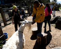 Marin Ventures @ Slide Ranch 10 (Terry Scussel)