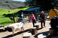 Marin Ventures @ Slide Ranch 9 (Terry Scussel)