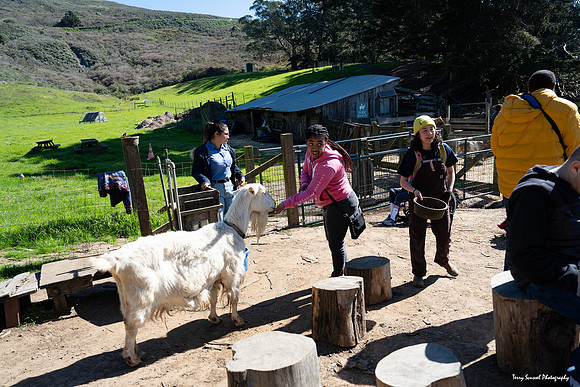 Marin Ventures @ Slide Ranch 9 (Terry Scussel)