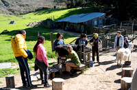 Marin Ventures @ Slide Ranch 11 (Terry Scussel)