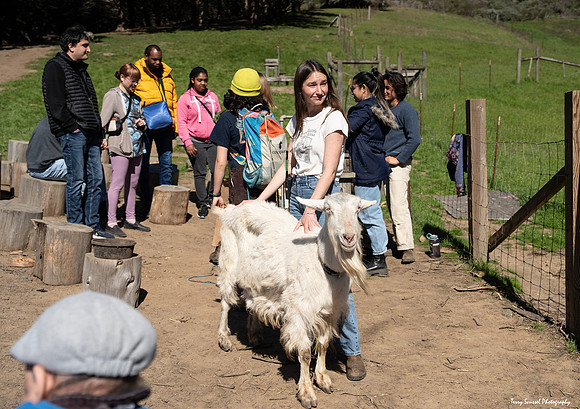 Marin Ventures @ Slide Ranch 12 (Terry Scussel)