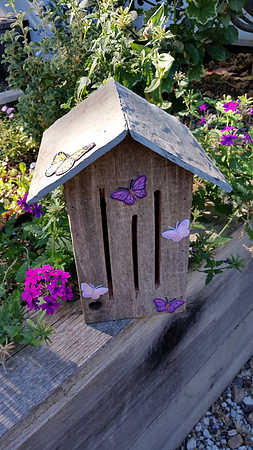 Bird Feeder
