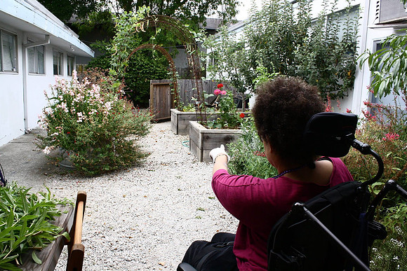 Gardens
