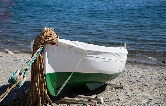 Green & White Fishing Boat 3