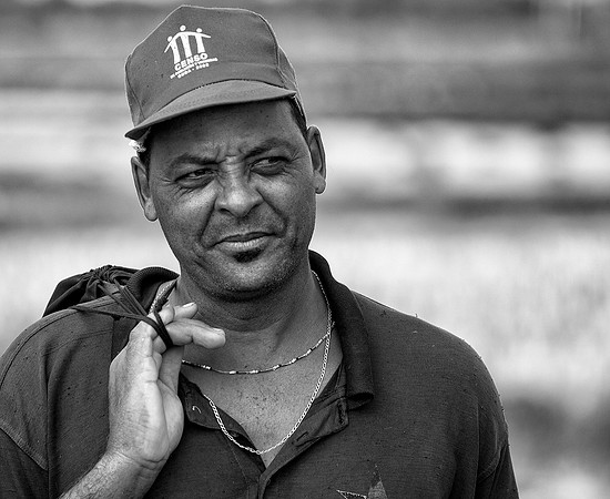 Rice Farmer (B&W)