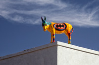 New Mexico