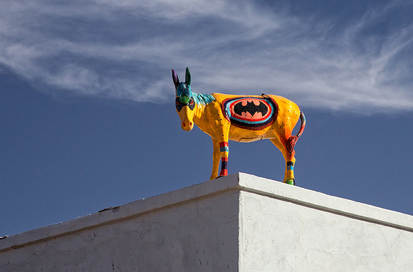 Burro, Linclon NM
