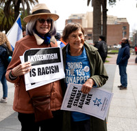 Unity March against Antisemitism 3 (Terry Scussel)