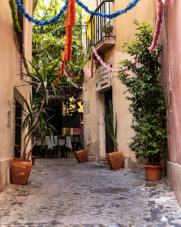 Alfama Courtyard 1