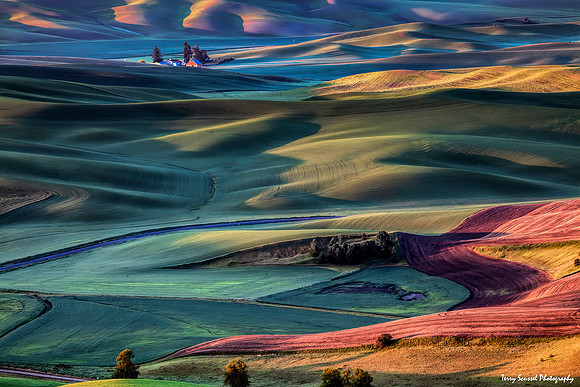 View from Steptoe Butte 5