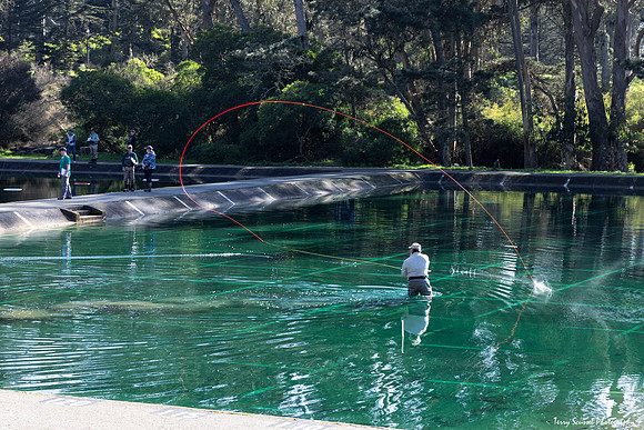 Casting Ponds at GGP (Terry Scussel)