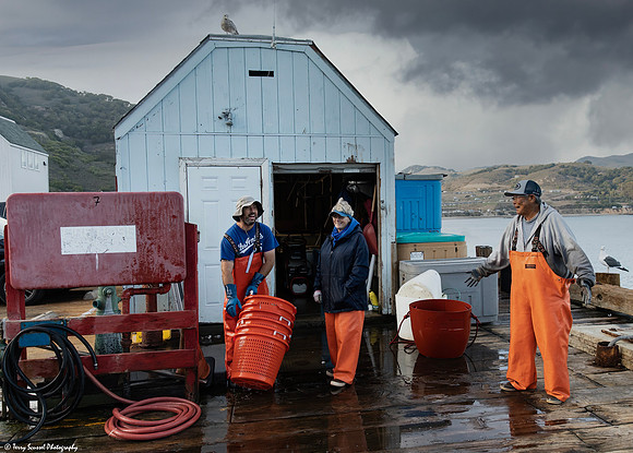 Cod Anglers - Harford Pier, Port San Luis Harbor 3 copy