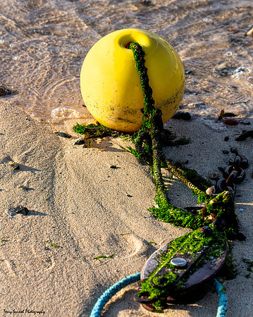 Bouy Float, St Ives