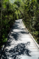 Board Walk Shadows Color