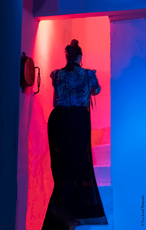 Flamenco Performer, Tablao Los Gallos, Sevilla copy