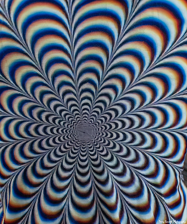 Church of the Open Mind 4 (Terry Scussel)