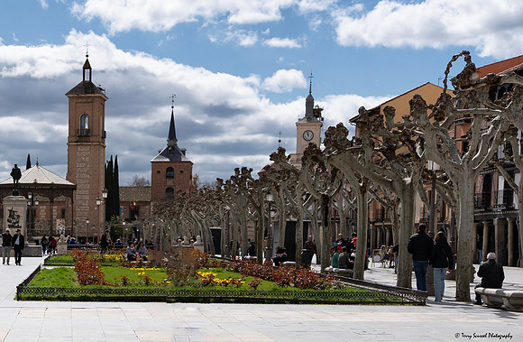 Cervantes Plaza, Alcalá de Henares copy