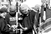 Free Palestine