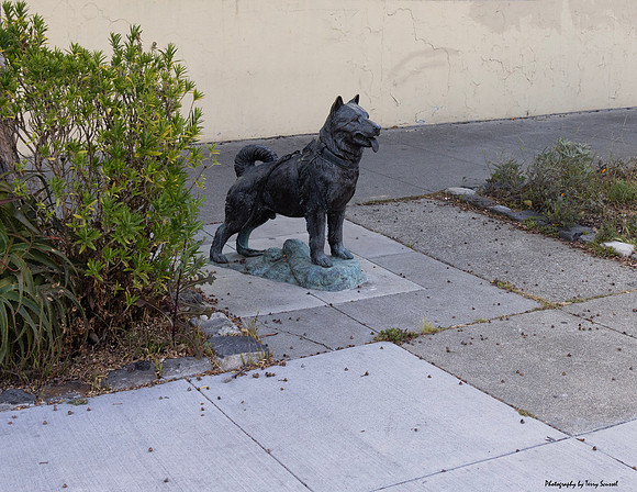 SF Carnaval Street 1 (Terry Scussel)