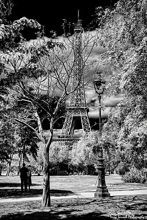 Scussel36 - Eiffel Tower from Champ de Mars (IR)