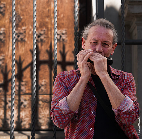 Electronic Harmonica copy