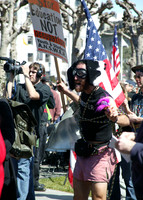 Demonstrator 1