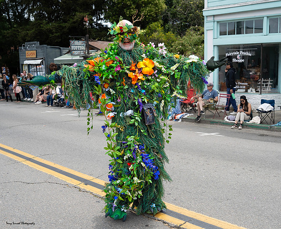 Fairfax Parade & Festival 2024 - 32 (Terry Scussel)