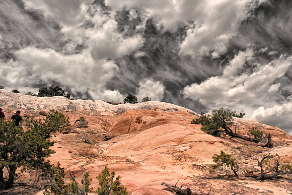 Wild Sky 2