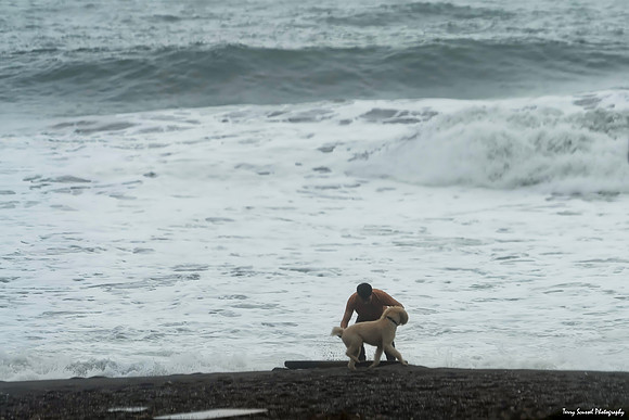 Somersault at Rodeo Beach 3 (Terry Scussel)