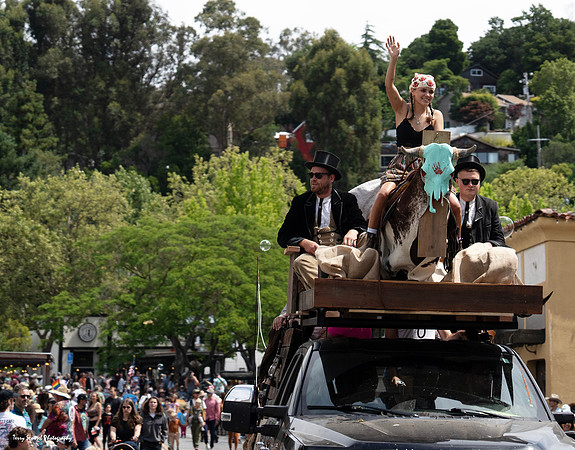 Fairfax Parade & Festival 2024 - 43 (Terry Scussel)