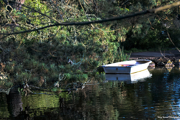 Stow Lake 1