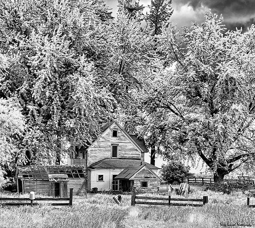 Palouse Derelick Home - Infrared