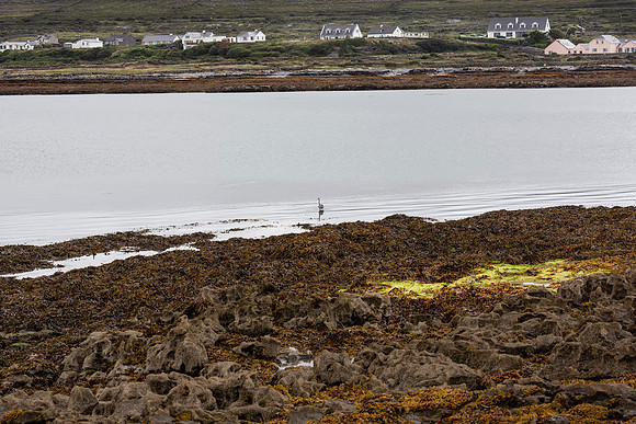 Aran Islands - City Scape 4